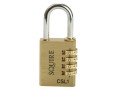 Brass Case Padlocks