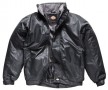 Dickies Cambridge Jacket