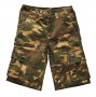 Dickies Camo Shorts