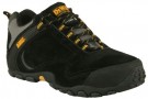 Dewalt Logic Safety Trainer