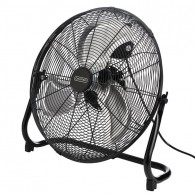 Fans