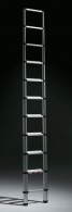 Telesteps Telescopic Black Line Ladders