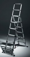 Telesteps Telescopic Combi Ladders